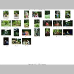 Contact_Sheet_-_2001-02.jpg
