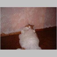 DSCF0002.JPG