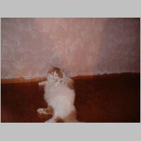 DSCF0004.JPG