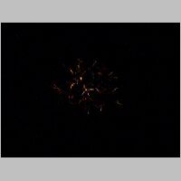 DSCF0062.AVI